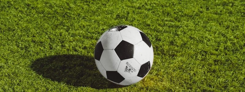 意甲联赛尤文图斯队球员庆祝进球的瞬间，看台上球迷欢呼雀跃