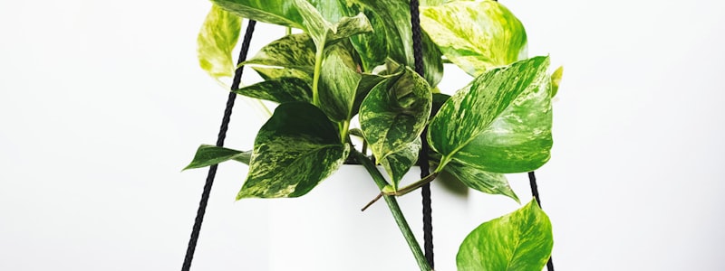 英超联赛曼城与阿森纳球员在比赛中争抢头球的激烈场面