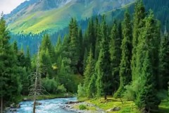 邦马蒂三连庄称后，星空数据体育见证女足格局新变化